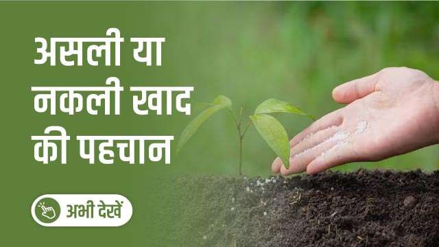 असली या नकली खाद की पहचान 
