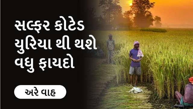 સલ્ફર કોટેડ યુરિયા થી થશે વધુ ફાયદો 