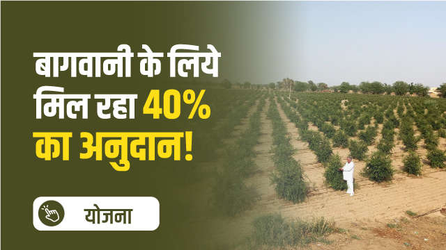 बागवानी के लिये मिल रहा 40% का अनुदान!
