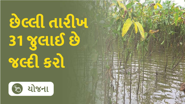 છેલ્લી તારીખ 31 જુલાઈ છે જલ્દી કરો