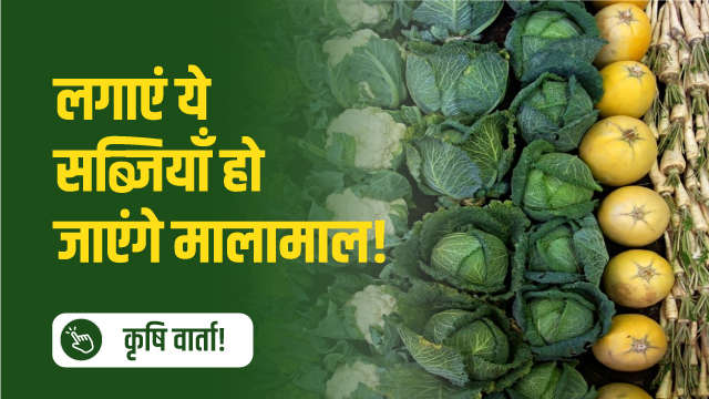 लगाएं ये सब्जियाँ होजाएंगे मालामाल!