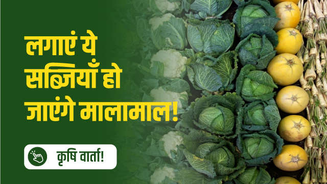 लगाएं ये सब्जियाँ होजाएंगे मालामाल!