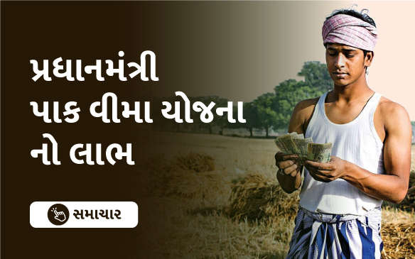 પ્રધાનમંત્રી પાક વીમા યોજના નો લાભ 