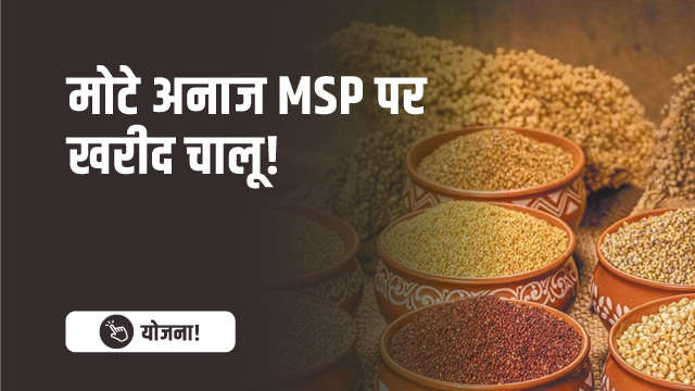 मोटे अनाज MSP पर खरीद चालू!