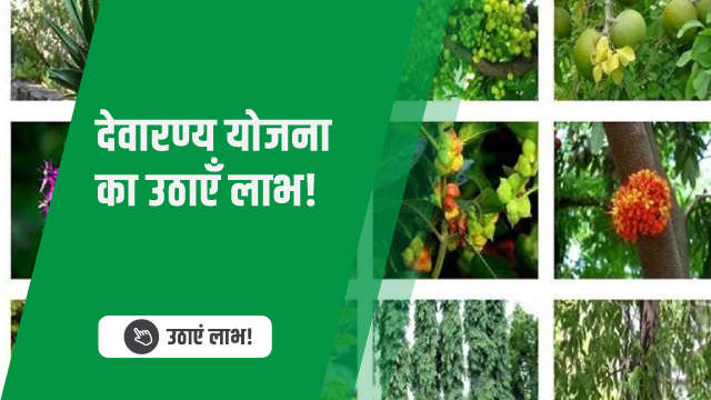 देवारण्य योजना का उठाएँ लाभ!