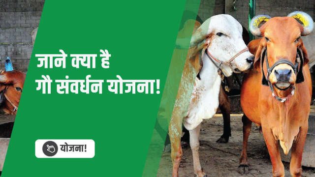 जाने क्या है गौ संवर्धन योजना!
