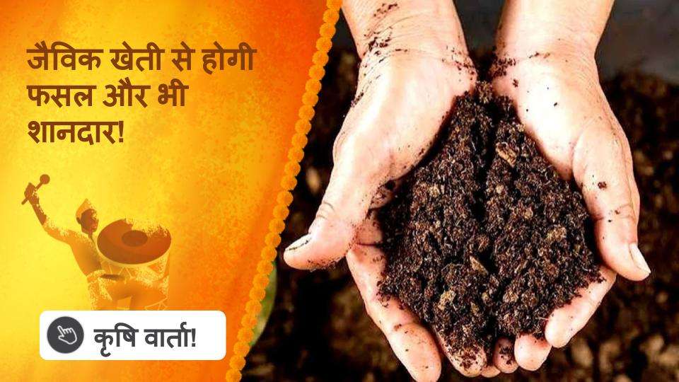 जैविक खेती से होगी फसल और भी शानदार!