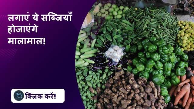 लगाएं ये सब्जियाँ हो जाएंगे मालामाल!