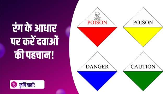 रंगों के आधार पर करें दवाओं की पहचान!