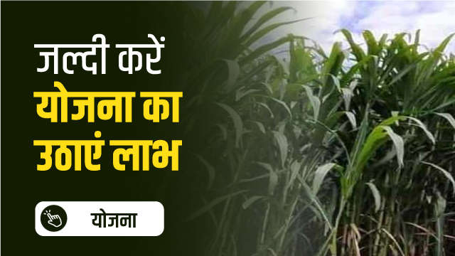जल्दी करें योजना का उठाएं लाभ