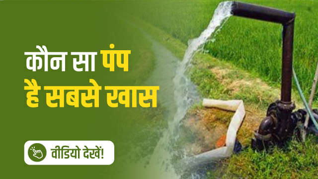 कौन सा पंप है सबसे खास 