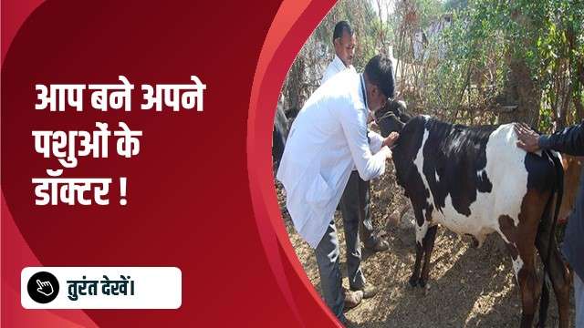 आप बने अपने पशुओं के डॉक्टर !
