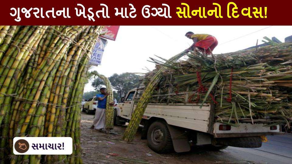 ગુજરાતના ખેડૂતો માટે ઉગ્યો સોનાનો દિવસ