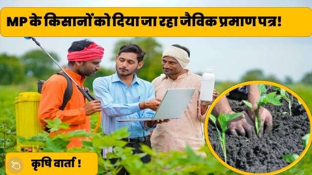 MP के किसानों को दिया जा रहा जैविक प्रमाण पत्र! 