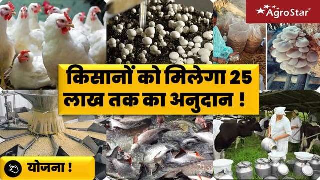 किसानों को मिलेगा 25 लाख तक का अनुदान!
