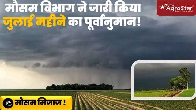 मौसम विभाग ने जारी किया जुलाई महीने का पूर्वानुमान!
