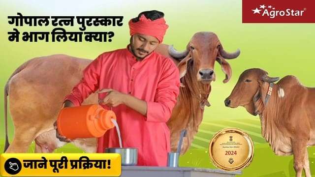 गोपाल रत्न पुरस्कार मे भाग लिया क्या?
