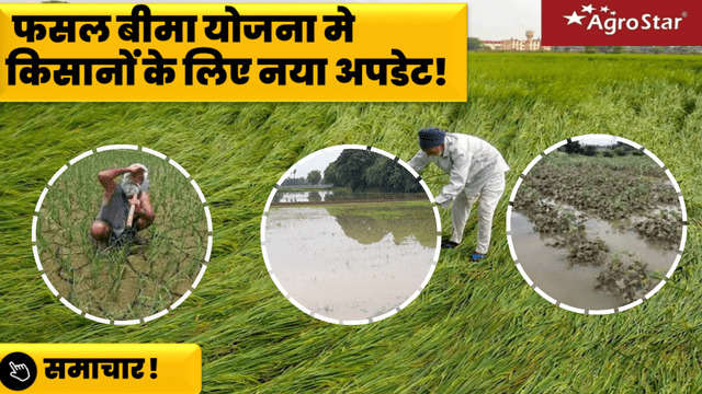 फसल बीमा योजना मे नया अपडेट!
