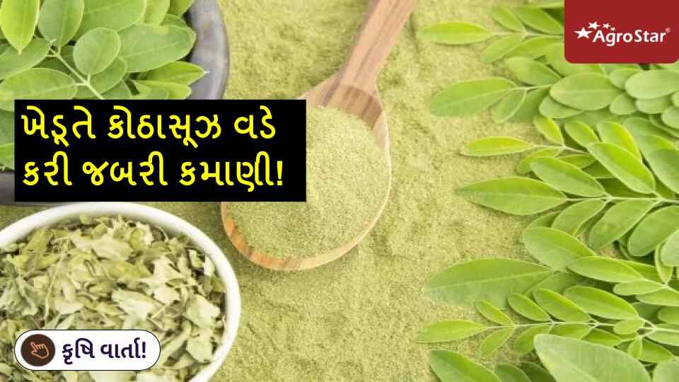 ખેડૂતે કોઠાસૂઝ વડે કરી જબરી કમાણી