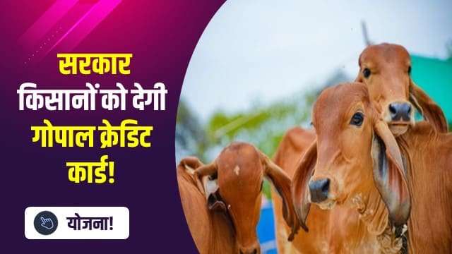 सरकार किसानों को देगी गोपाल क्रेडिट कार्ड!