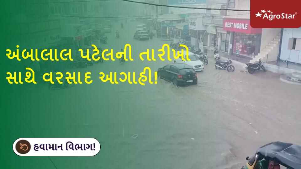 અંબાલાલ પટેલની તારીખો સાથે વરસાદ આગાહી!