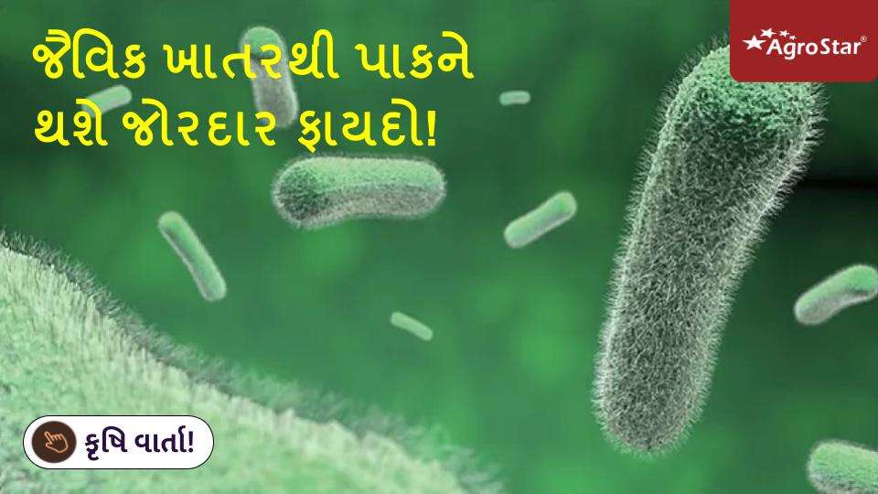 જૈવિક ખાતરથી પાકને થશે જોરદાર ફાયદો 