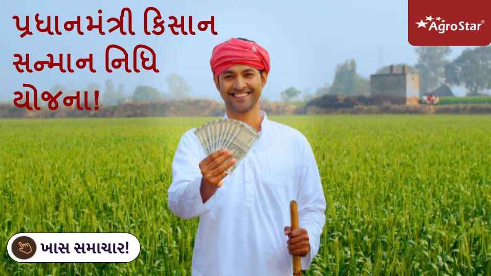 પ્રધાનમંત્રી કિસાન સન્માન નિધિ યોજના!