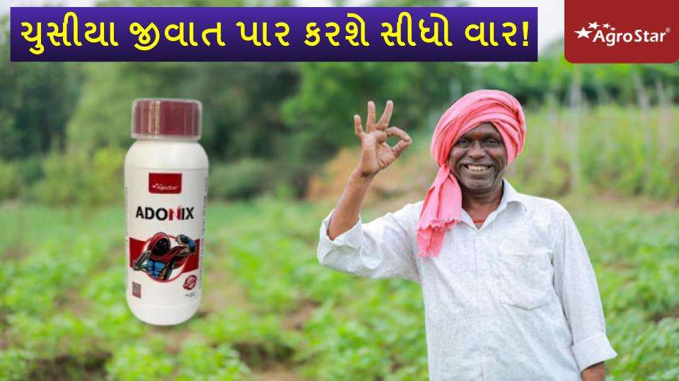 ફસલ વીમા યોજના નો લાભ 