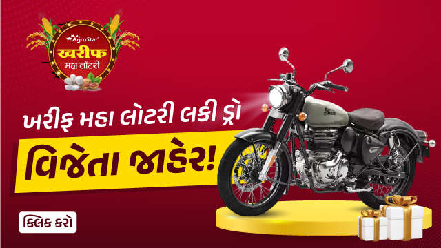 ખરીફ મહા લોટરી લકી ડ્રો વિજેતા જાહેર!