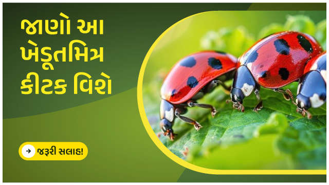 જાણો આ ખેડૂતમિત્ર કીટક વિશે.