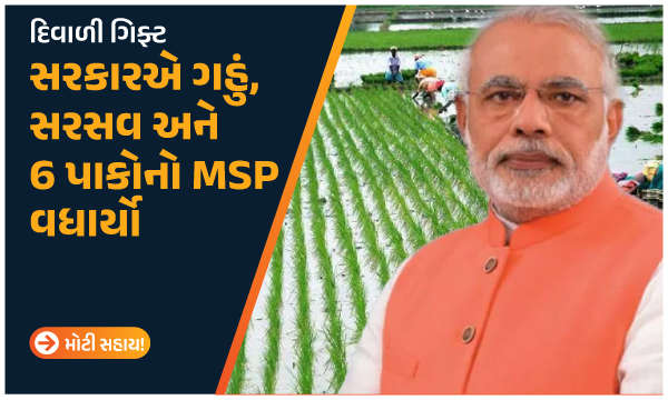 દિવાળી ગિફ્ટ: સરકારએ ગહું, સરસવ અને 6 પાકોનો MSP વધાર્યો