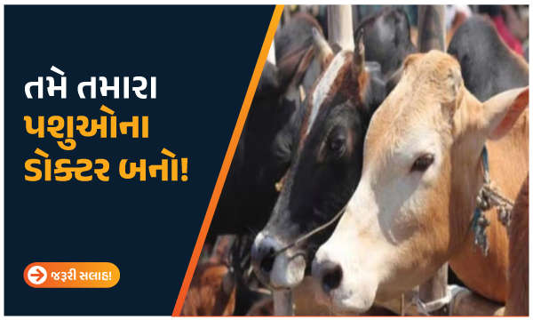 તમે તમારા પશુઓના ડોક્ટર બનો!