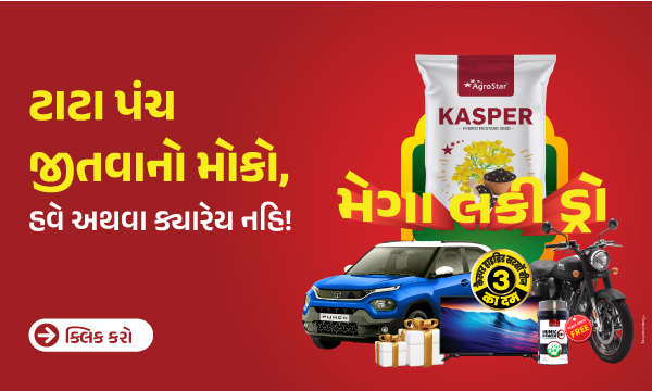 કૈસ્પર લકી ડ્રો – ટાટા પંચ જીતવાનો મોકો, હવે અથવા ક્યારેય નહિ!