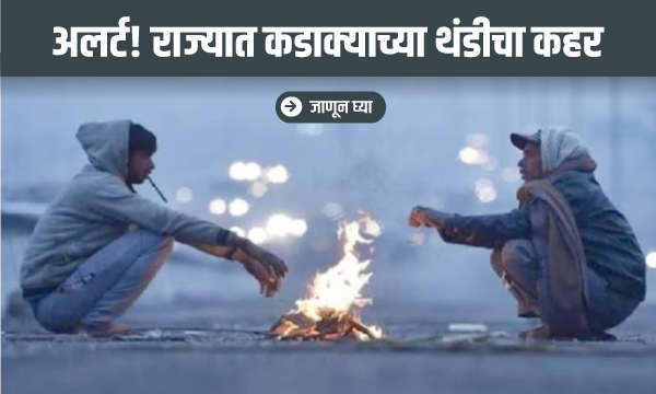 अलर्ट! राज्यात कडाक्याच्या थंडीचा कहर