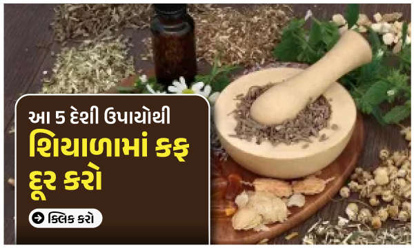 શિયાળામાં કફ દૂર કરો આ 5 દેશી ઉપાયોથી!