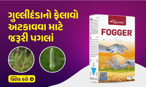 ગુલ્લીદંડાનો ફેલાવો અટકાવવા માટેના પગલાં