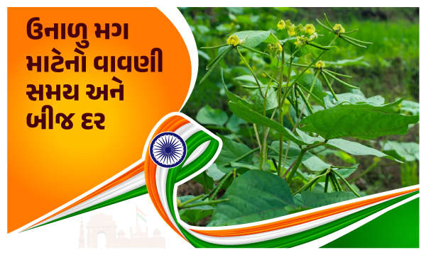 ઉનાળું મગ માટેનો વાવણી સમય અને બીજ દર