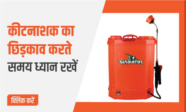 कीटनाशक का छिड़काव करते समय ध्यान रखें