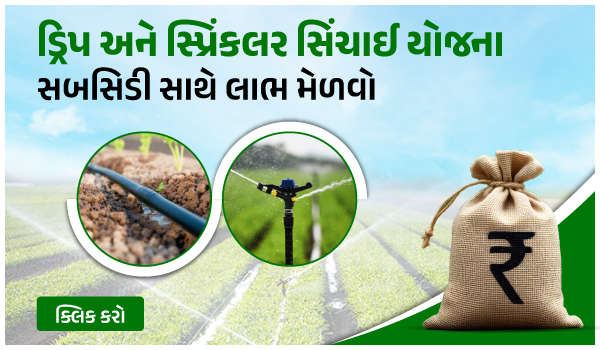 ડ્રિપ અને સ્પ્રિંકલર સિંચાઈ યોજના – સબસિડી સાથે લાભ મેળવો