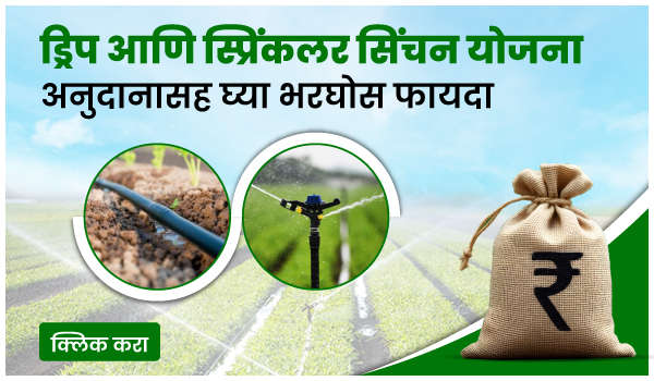 ड्रिप आणि स्प्रिंकलर सिंचन योजना – अनुदानासह घ्या भरघोस फायदा