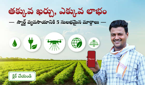 తక్కువ ఖర్చు, ఎక్కువ లాభం: స్మార్ట్ వ్యవసాయానికి 5 సులభమైన మార్గాలు