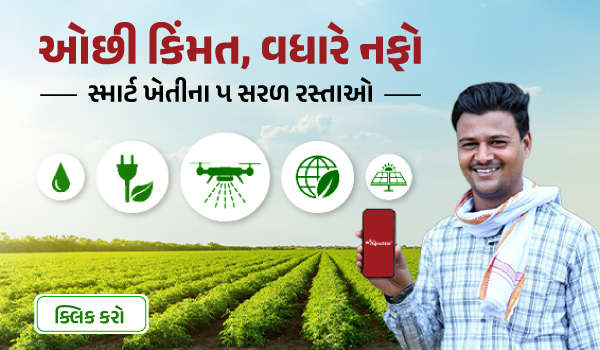 ઓછી કિંમત, વધુ નફો: સ્માર્ટ ખેતીના 5 સરળ ઉપાય