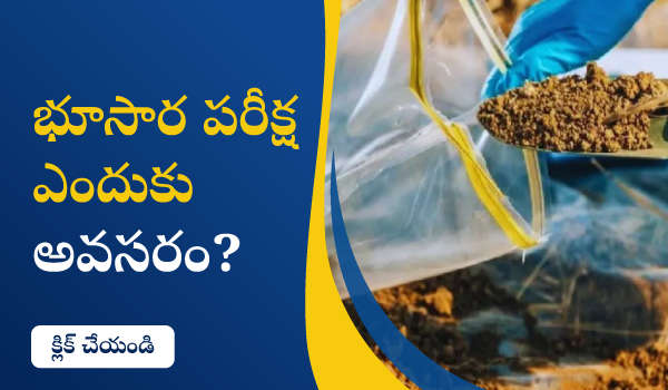భూసార పరీక్ష ఎందుకు అవసరం?