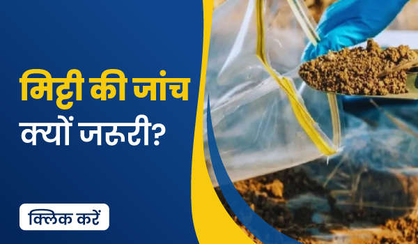 मिट्टी की जांच क्यों जरूरी?