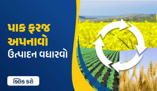 પાક ફેરબદલી અપનાવો – ઉત્પાદન વધારો