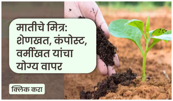 मातीचे मित्र: शेणखत, कंपोस्ट, वर्मीखत यांचा योग्य वापर