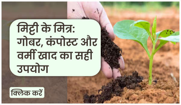 मिट्टी के मित्र: गोबर, कंपोस्ट और वर्मी खाद का सही उपयोग