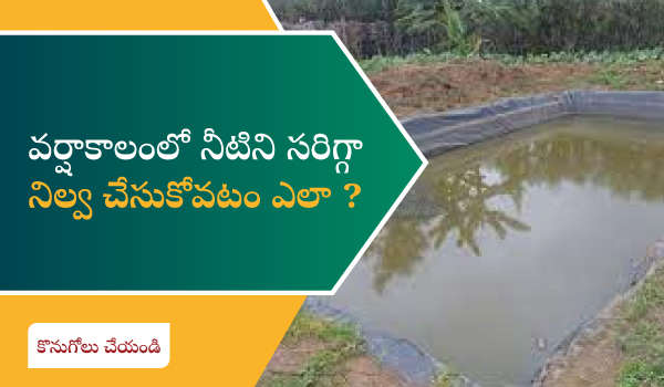 వర్షాకాలంలో నీటి నిల్వకు సరైన పద్ధతులు ఏమిటి?