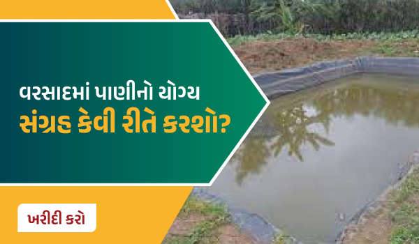 વરસાદમાં પાણીનો યોગ્ય સંગ્રહ કેવી રીતે કરશો?