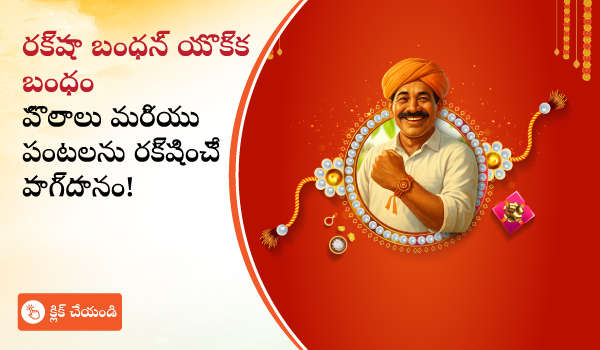 రక్షాబంధన్ బంధం - పొలం మరియు పంట భద్రతకు వాగ్దానం!